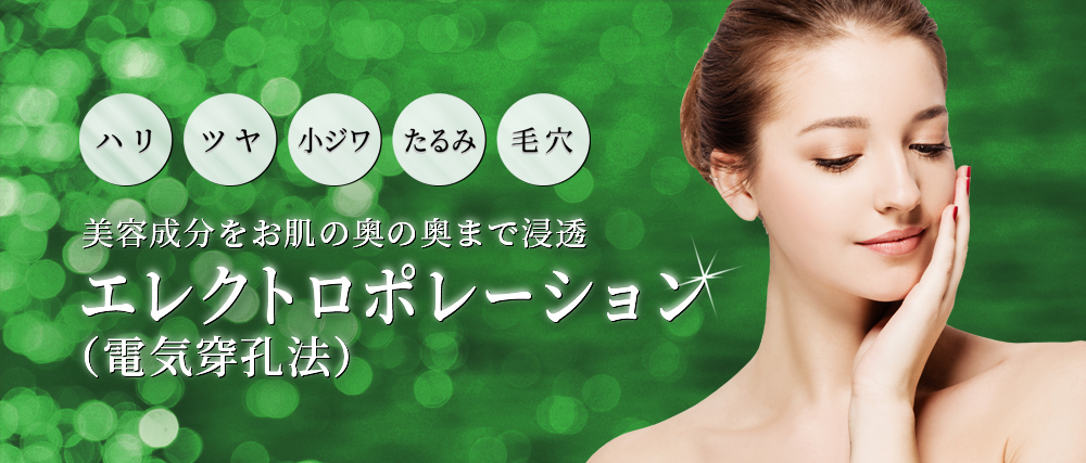 エレクトロポレーション(電気穿孔法)